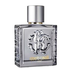 Туалетная вода Roberto Cavalli Silver Essence EDT для мужчин 100 мл цена и информация | Мужские духи | pigu.lt