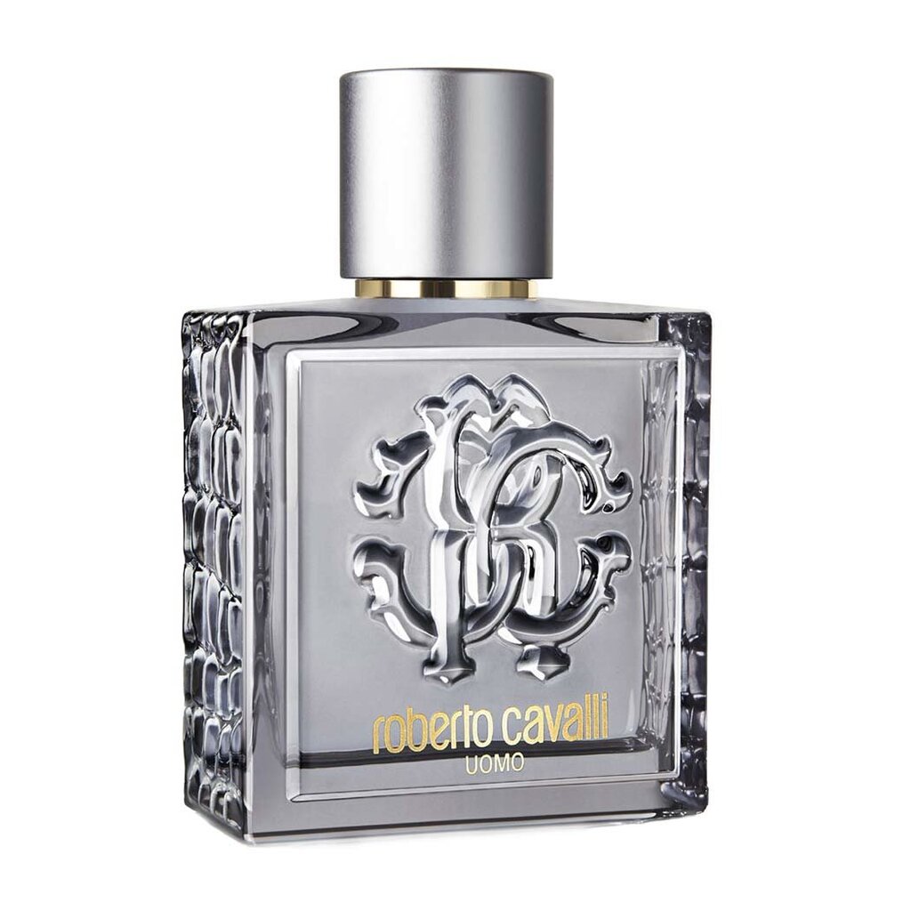 Tualetinis vanduo Roberto Cavalli Silver Essence EDT vyrams 100 ml kaina ir informacija | Kvepalai vyrams | pigu.lt