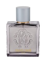 Tualetinis vanduo Roberto Cavalli Silver Essence EDT vyrams 100 ml kaina ir informacija | Kvepalai vyrams | pigu.lt