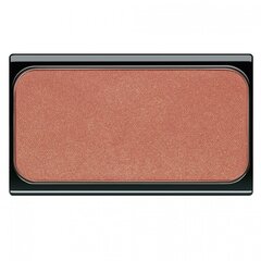 Skaistalai Artdeco Blusher Dark Beige Rose, 5 g kaina ir informacija | Bronzantai, skaistalai | pigu.lt