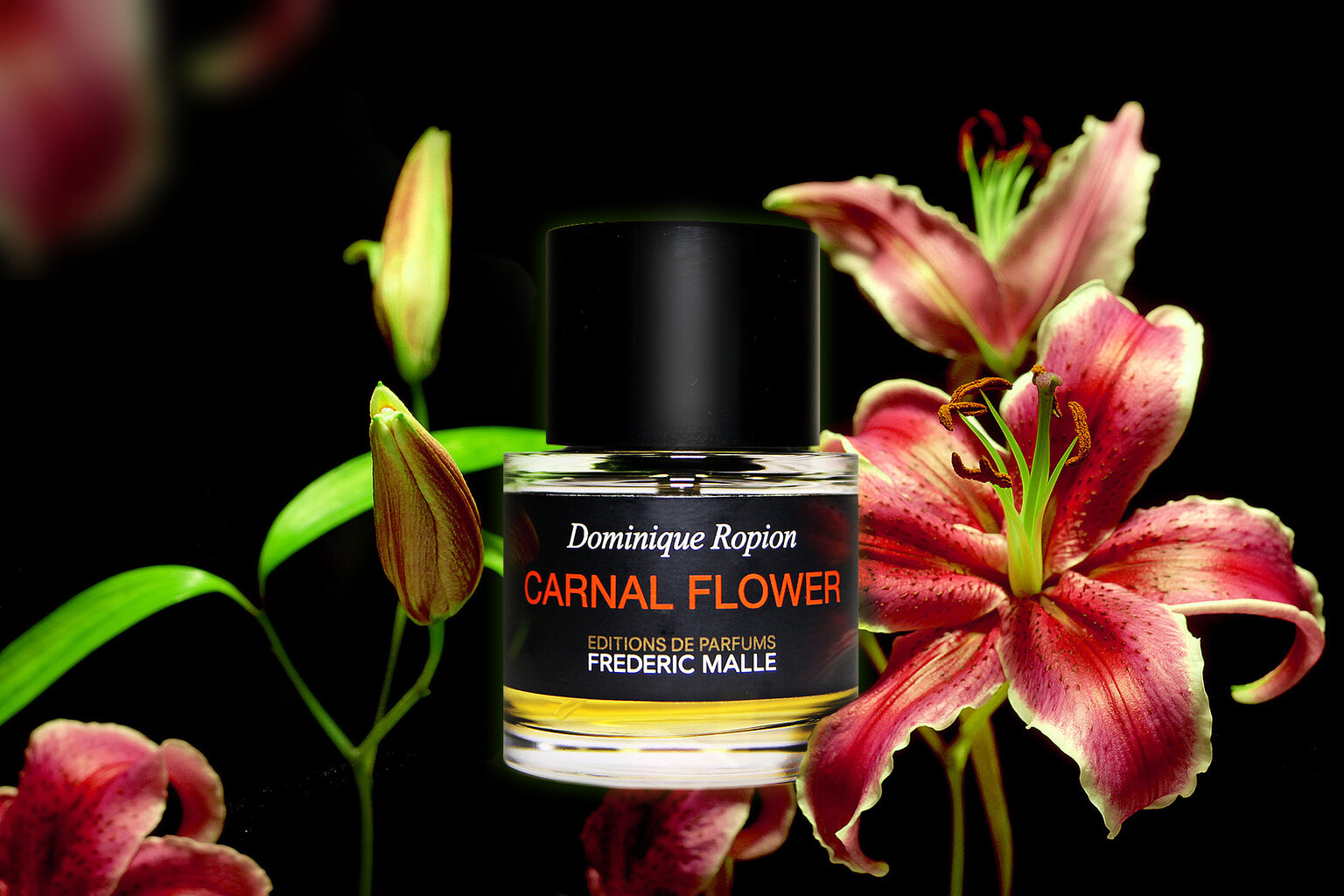 Kvapusis vanduo Frederic Malle Carnal Flower EDP moterims/vyrams 50 ml kaina ir informacija | Kvepalai moterims | pigu.lt