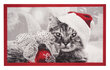 Hanse Home durų kilimėlis Christmas Cat, 45x75 cm цена и информация | Durų kilimėliai | pigu.lt