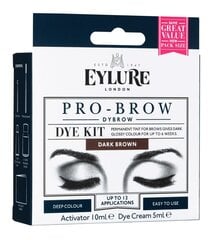 Краска для бровей Eylure Eyl Pro-Brow Dybrow цена и информация | Карандаши, краска для бровей | pigu.lt