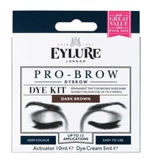 Краска для бровей Eylure Eyl Pro-Brow Dybrow цена и информация | Карандаши, краска для бровей | pigu.lt