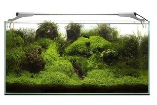 LED akvariumo lempa Aquael Slim Sunny, 10 W kaina ir informacija | Akvariumai ir jų įranga | pigu.lt