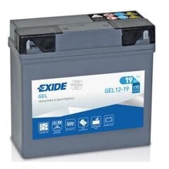 Akumuliatorius Exide Gel-12-19 80019, 19 Ah 170 A DIN 12V kaina ir informacija | Moto akumuliatoriai | pigu.lt