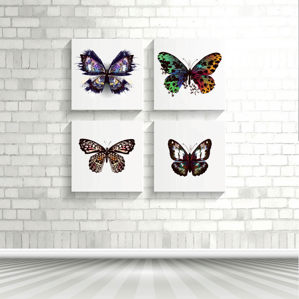 Reprodukcija Perlamutrinis drugelis, 30x30 cm цена и информация | Reprodukcijos, paveikslai | pigu.lt