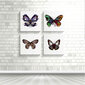 Paveikslas Geltonas drugelis, 30x30 cm цена и информация | Reprodukcijos, paveikslai | pigu.lt