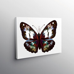 Paveikslas Mistinis drugelis, 30x30 cm цена и информация | Репродукции, картины | pigu.lt