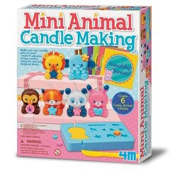 Творческий комплект "Свечи с фигурками животных " 4M цена и информация | Развивающие игрушки | pigu.lt