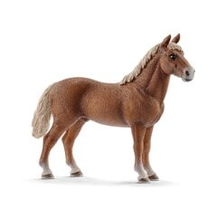 Фигурка Лошадь породы Морган, Schleich цена и информация | Игрушки для мальчиков | pigu.lt