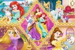Dėlionė Trefl Disney Princess, 160 d. kaina ir informacija | Dėlionės (puzzle) | pigu.lt