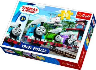 Dėlionė Trefl Tomas ir Draugai (Thomas & Friends), 30 d. kaina ir informacija | Dėlionės (puzzle) | pigu.lt