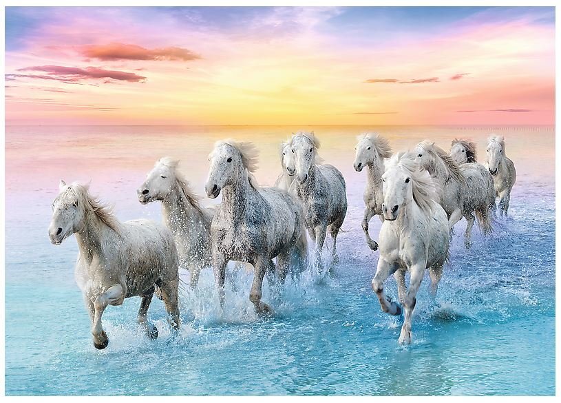 Dėlionė Trefl "Baltieji arkliai", 500 d. kaina ir informacija | Dėlionės (puzzle) | pigu.lt