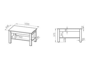 Staliukas ST 10301-001, ąžuolo spalvos kaina ir informacija | Kavos staliukai | pigu.lt