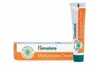 Universalus antiseptinis kremas Himalaya Herbal Healthcare Multipurpose 20 g kaina ir informacija | Veido kremai | pigu.lt