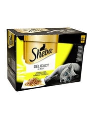 SHEBA Delikatesse Mix вкус птицы в желе 12x85г цена и информация | Консервы для кошек | pigu.lt