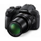 Panasonic DMC-FZ300, Juoda kaina ir informacija | Skaitmeniniai fotoaparatai | pigu.lt