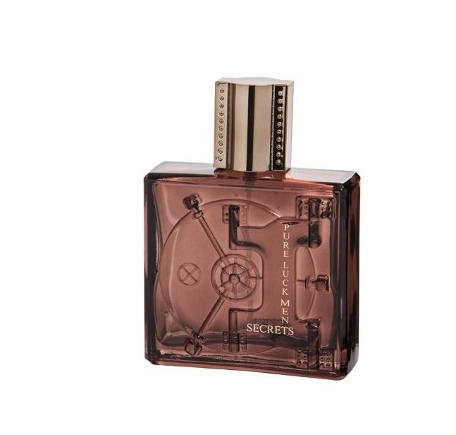 Tualetinis vanduo Linn Young Pure Luck Men Secrets EDT vyrams 100 ml kaina ir informacija | Kvepalai vyrams | pigu.lt