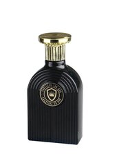 Tualetinis vanduo Omerta Conclude For Men EDT vyrams 100 ml цена и информация | Мужские духи | pigu.lt