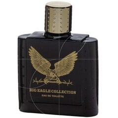 Туалетная вода для мужчин Big Eagle Collection Black, 100 мл цена и информация | Мужские духи | pigu.lt