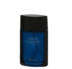 Tualetinis vanduo Real Time Night Canyon EDT vyrams 100 ml kaina ir informacija | Kvepalai vyrams | pigu.lt