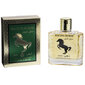 Tualetinis vanduo real Time Racing Horse Gold EDT vyrams, 100 ml kaina ir informacija | Kvepalai vyrams | pigu.lt