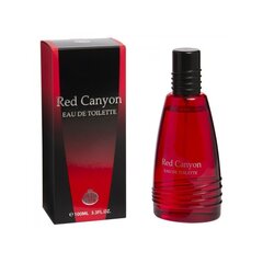 Tualetinis vanduo Real Time Red Canyon EDT vyrams 100 ml kaina ir informacija | Kvepalai vyrams | pigu.lt