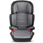 Automobilinė kėdutė KinderKraft Junior Plus, 15-36 kg, Pilka цена и информация | Autokėdutės | pigu.lt