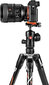 Manfrotto Befree Advanced Alpha MKBFRLA-BH цена и информация | Fotoaparato stovai | pigu.lt