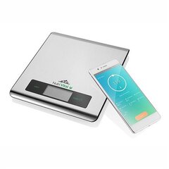 ETA Kitchen scales with smart applicatio цена и информация | Весы (кухонные) | pigu.lt