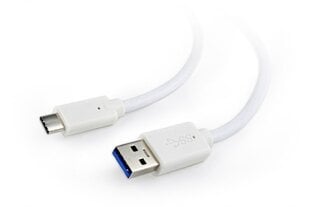 Gembird (CCP-USB3-AMCM) USB 3.0 A(M) - USB Type-C (M), 0.1m цена и информация | Кабели и провода | pigu.lt