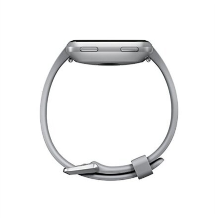 Fitbit Versa Grey/Silver kaina ir informacija | Išmanieji laikrodžiai (smartwatch) | pigu.lt