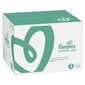 Sauskelnės PAMPERS Premium Monthly Pack 3 dydis, 6-10 kg, 204 vnt. цена и информация | Sauskelnės | pigu.lt