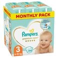 Sauskelnės PAMPERS Premium Monthly Pack 3 dydis, 6-10 kg, 204 vnt.