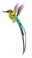 Interjero lipdukas Kolibris 2 20x60 cm цена и информация | Interjero lipdukai | pigu.lt