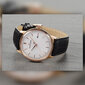 Laikrodis Jacques Lemans 1-213G (42 mm) kaina ir informacija | Vyriški laikrodžiai | pigu.lt