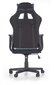 Žaidimų kėdė Halmar Cayman, pilka/mėlyna цена и информация | Biuro kėdės | pigu.lt
