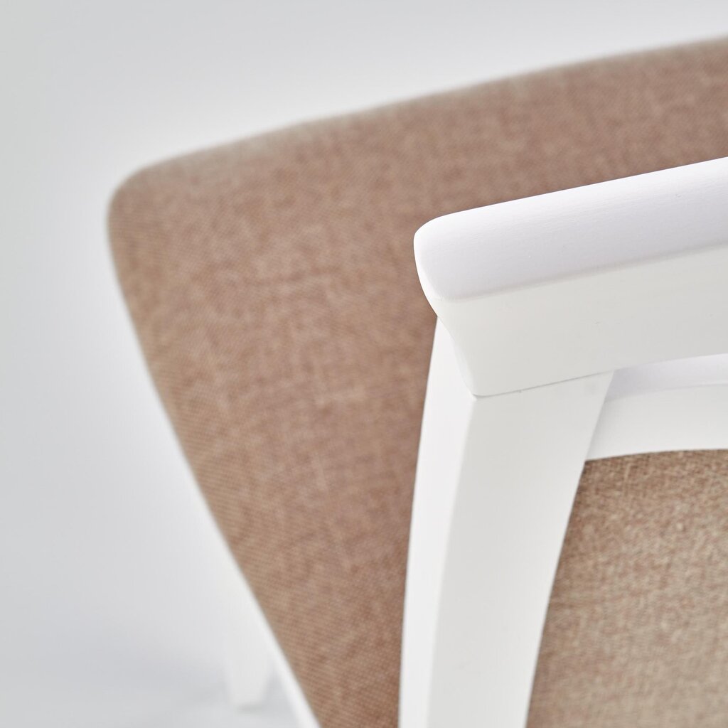 2-jų kėdžių komplektas Halmar Citrone, baltas/rudas kaina ir informacija | Virtuvės ir valgomojo kėdės | pigu.lt