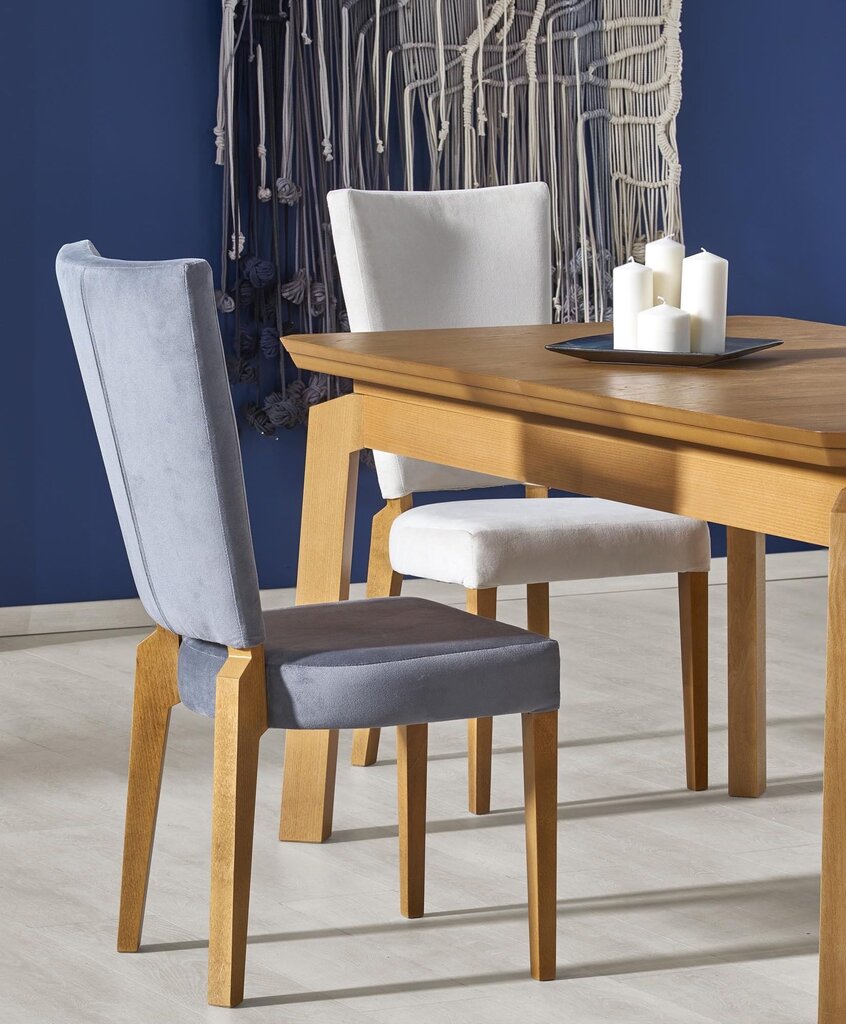 2-jų kėdžių komplektas Halmar Rois, rudas/pilkas kaina ir informacija | Virtuvės ir valgomojo kėdės | pigu.lt