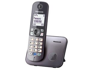 Panasonic KX-TG6811FXM, серый цена и информация | Стационарные телефоны | pigu.lt