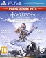 Žaidimas Horizon Zero Dawn Complete Edition, PS4 kaina ir informacija | Kompiuteriniai žaidimai | pigu.lt