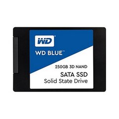 WD 250GB SATA III Blue цена и информация | Внутренние жёсткие диски (HDD, SSD, Hybrid) | pigu.lt