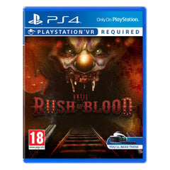 Žaidimas Until Dawn: Rush of Blood VR, PS4 kaina ir informacija | Kompiuteriniai žaidimai | pigu.lt