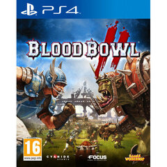 Sony PS4 Blood Bowl 2 цена и информация | Компьютерные игры | pigu.lt