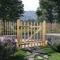 Tvoros vartai, lazdyno mediena, 100x100cm kaina ir informacija | Tvoros ir jų priedai | pigu.lt