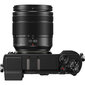 Panasonic Lumix DC-GX9MEG-K + 12-60 mm rinkinys kaina ir informacija | Skaitmeniniai fotoaparatai | pigu.lt