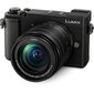 Panasonic Lumix DC-GX9MEG-K + 12-60 mm rinkinys kaina ir informacija | Skaitmeniniai fotoaparatai | pigu.lt