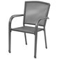 Lauko kėdės vidaXL, 2vnt., pilkos цена и информация | Lauko kėdės, foteliai, pufai | pigu.lt