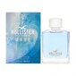 Tualetinis vanduo Hollister Wave EDT vyrams 30 ml цена и информация | Kvepalai vyrams | pigu.lt